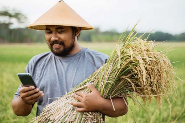 หลายคนเข้าใจว่าการทำงานของ Smart Farmer นั้นไกลตัว แต่ในความเป็นจริงแล้วไม่ได้เป็นเช่นนั้น การใช้อุปกรณ์สมาร์ทโฟนและแอปพลิเคชันต่างๆ เพื่อเก็บข้อมูลการเกษตร การผลิตและการคำนวณหาการเพาะปลูกที..