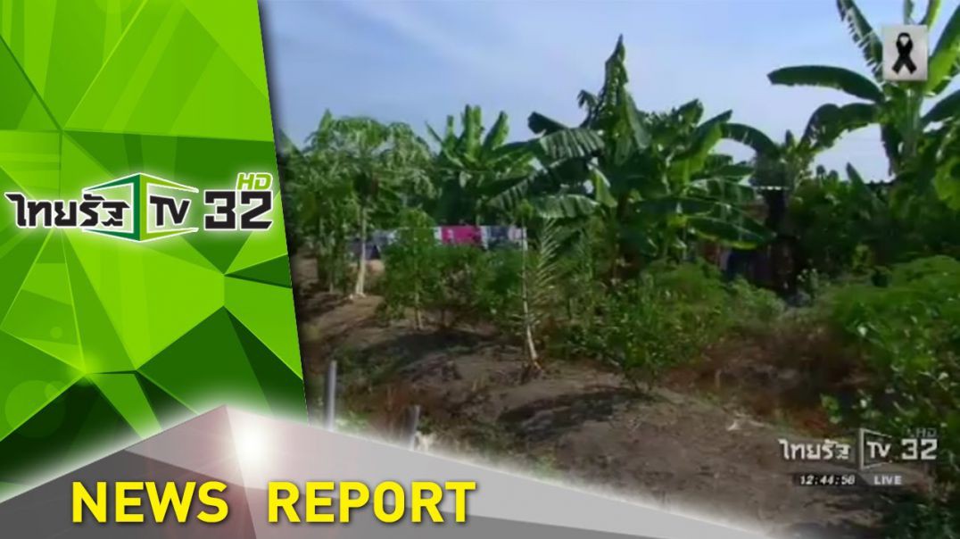 สมาร์ทฟาร์มเมอร์อนาคตเกษตรไทย 16-12-59 ชัดข่าวเที่ยง